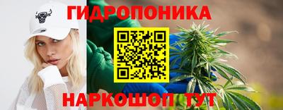 дмт Малгобек
