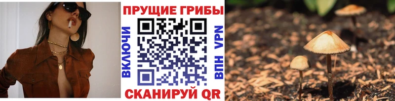 блэк спрут ТОР  Домодедово  Псилоцибиновые грибы MAGIC MUSHROOMS  хочу  