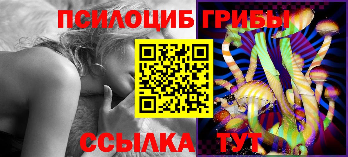 Домодедово  Псилоцибиновые грибы прущие грибы  дарнет шоп  Вход с VPN 