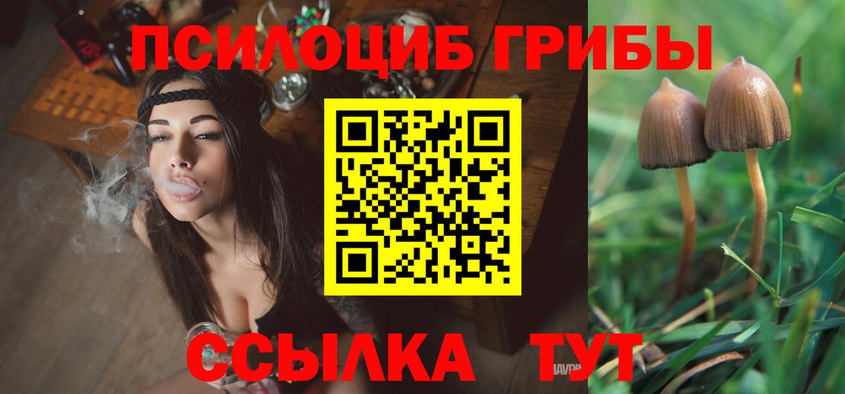 Псилоцибиновые грибы Psilocybe Домодедово
